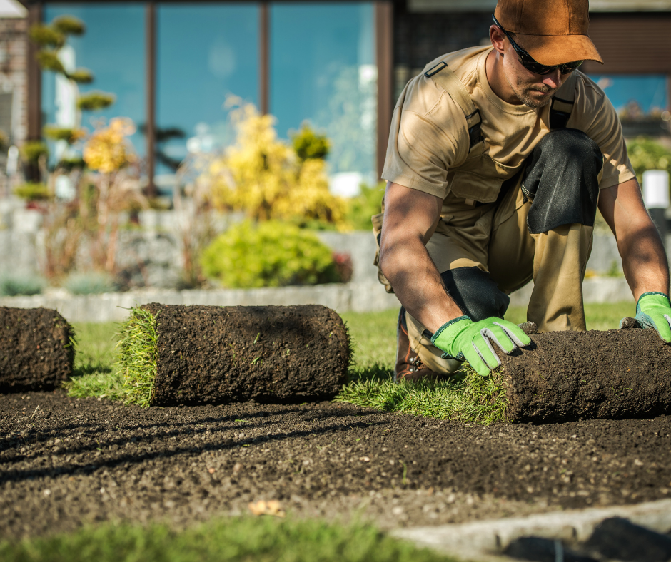 شركة تركيب عشب طبيعي