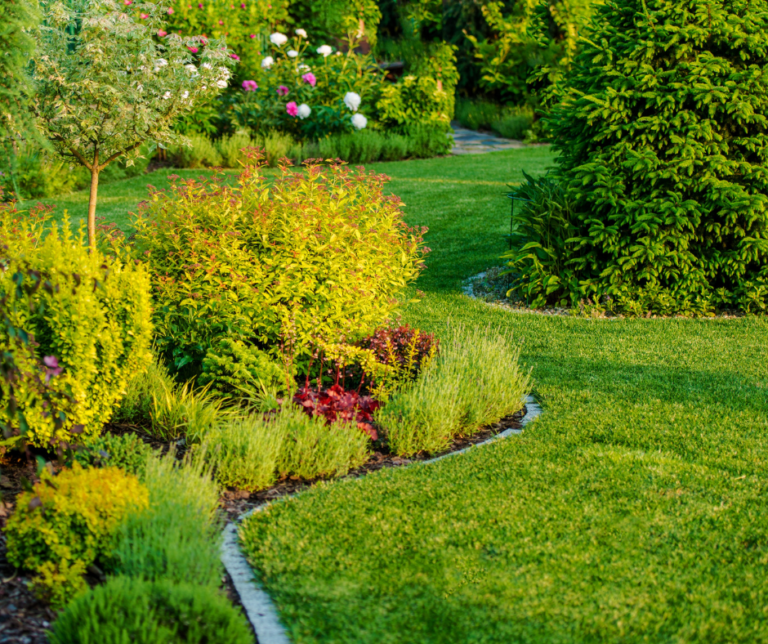 شركة تنسيق حدائق