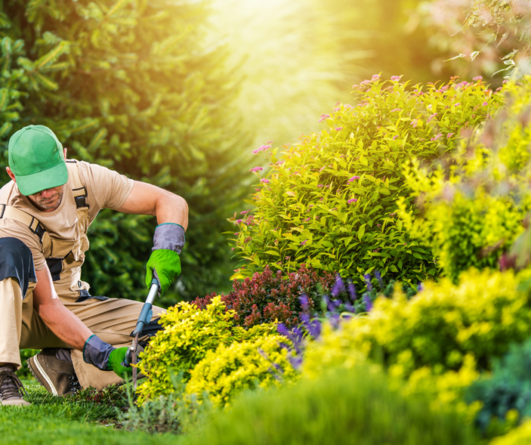 شركة لاندسكيب في دبي 0504413493 ⭐⭐⭐⭐⭐ خصم30%